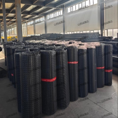 双向拉伸塑料网